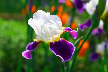 Similar image 907001