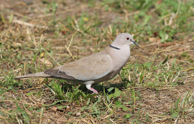 Similar image 907009