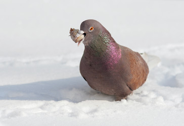 Similar image 907117