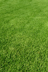 Similar image 907175