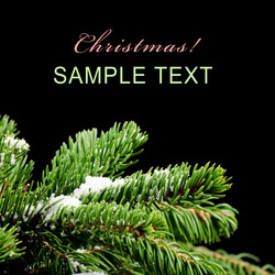 Similar image 907353