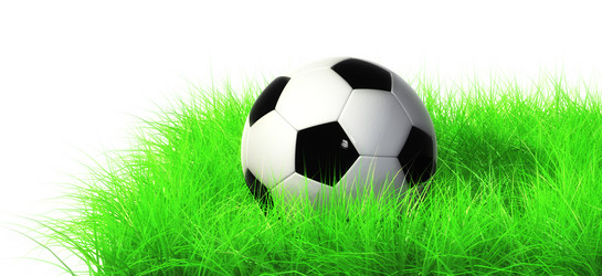 Similar image 907448