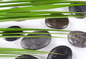 Similar image 907458