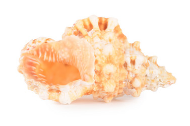 Similar image 907467