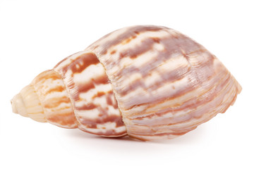 Similar image 907470