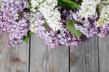 Similar image 907493