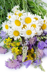 Similar image 907495