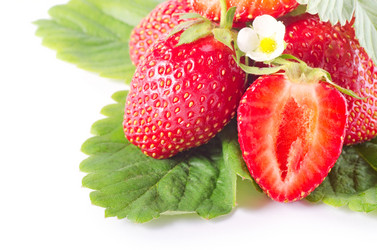 Similar image 907504