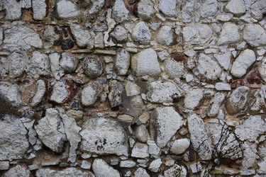 Similar image 907516