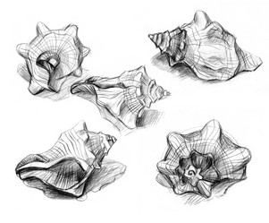 Similar image 907520