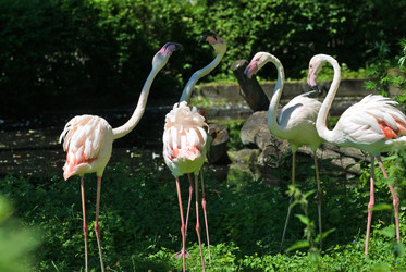 Similar image 907700