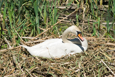 Similar image 907716