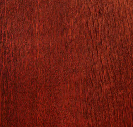 Similar image 907837