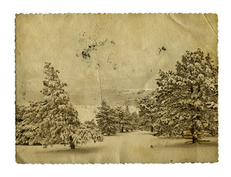 Similar image 907861