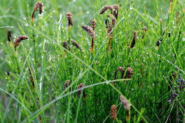 Similar image 907951