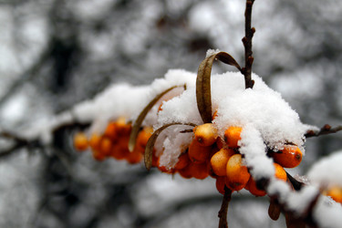 Similar image 907956