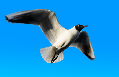 Similar image 907966