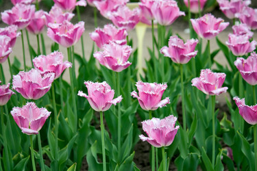 Similar image 907991