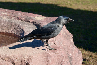 Similar image 908006