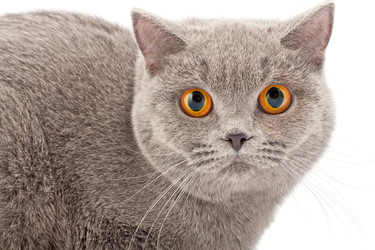 Similar image 908024