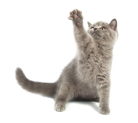 Similar image 908027