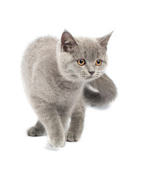 Similar image 908030