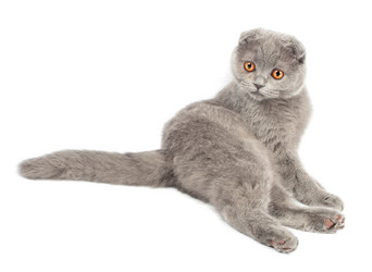 Similar image 908031