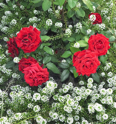 Similar image 908126