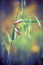 Similar image 908129