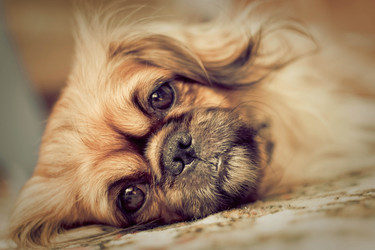 Similar image 908184