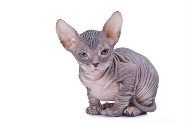 Similar image 908203