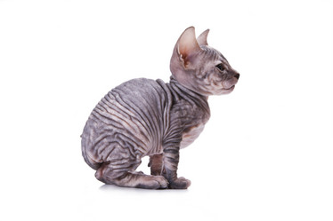 Similar image 908204