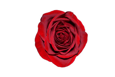 Similar image 908223