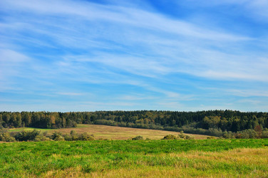 Similar image 908286