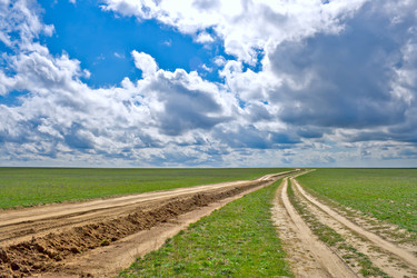 Similar image 908455