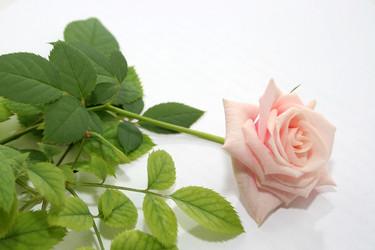 Similar image 908458