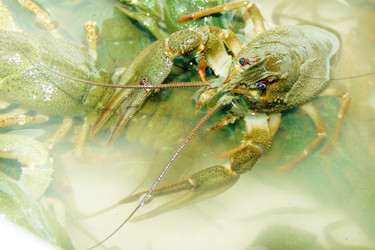 Similar image 908467