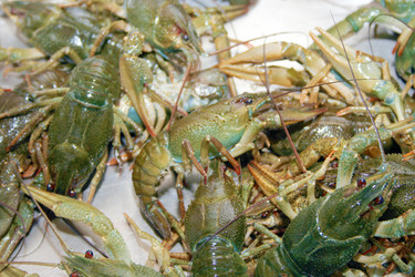 Similar image 908468