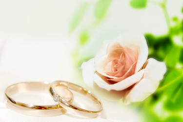 Similar image 908474