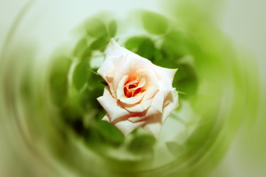 Similar image 908475