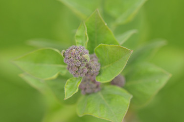 Similar image 908488