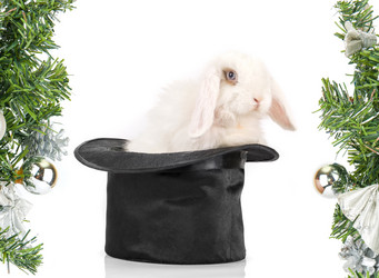 Similar image 908772