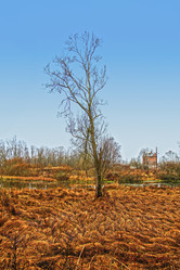 Similar image 908866