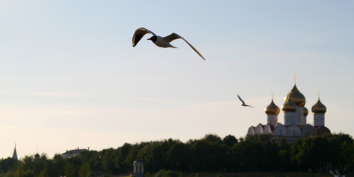 Similar image 908904