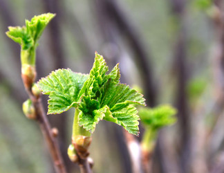 Similar image 908973