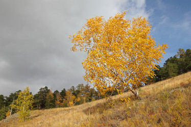 Similar image 909085