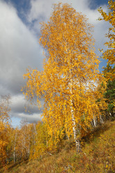 Similar image 909133