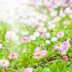 Similar image 909135