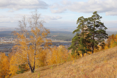 Similar image 909138