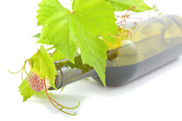 Similar image 909216